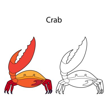 Beyaz arka planda izole edilmiş komik sevimli hayvan yengeci. Doğrusal, hatsız, siyah-beyaz ve renkli versiyonu. Resimler boyama kitabı ve çocuklar için resimler için kullanılabilir