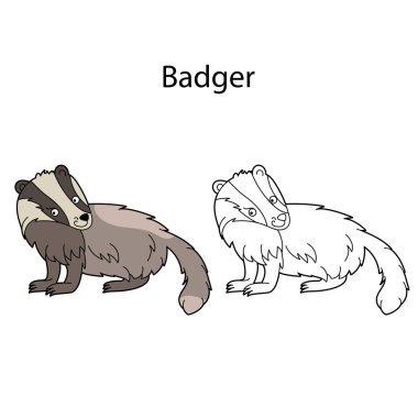 Beyaz arka planda izole edilmiş komik, sevimli hayvan porsuğu. Doğrusal, hatsız, siyah-beyaz ve renkli versiyonu. Resimler boyama kitabı ve çocuklar için resimler için kullanılabilir