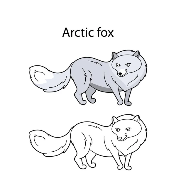 Lustige Niedliche Tier Arktischen Fuchs Isoliert Auf Weißem Hintergrund Lineare — Stockvektor