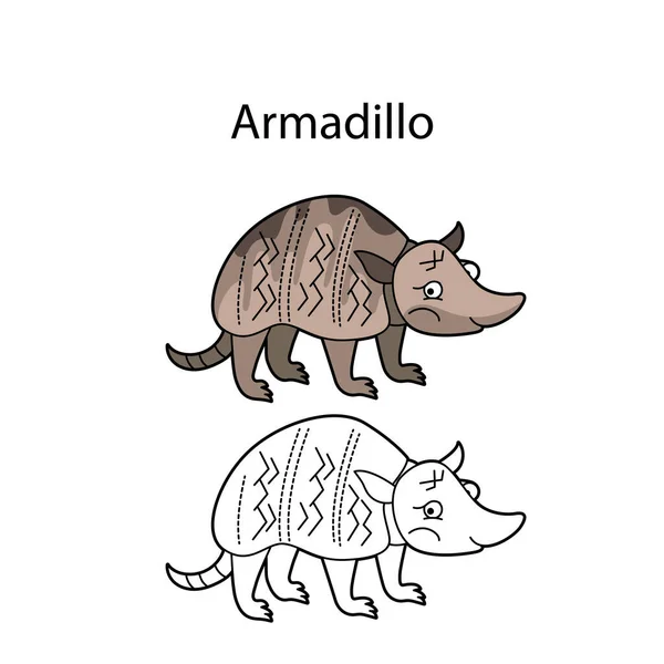 Drôle Mignon Animal Armadillo Isolé Sur Fond Blanc Version Linéaire — Image vectorielle
