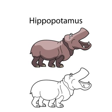 Beyaz arka planda izole edilmiş komik, sevimli bir su aygırı. Doğrusal, hatsız, siyah-beyaz ve renkli versiyonu. Resimler boyama kitabı ve çocuklar için resimler için kullanılabilir