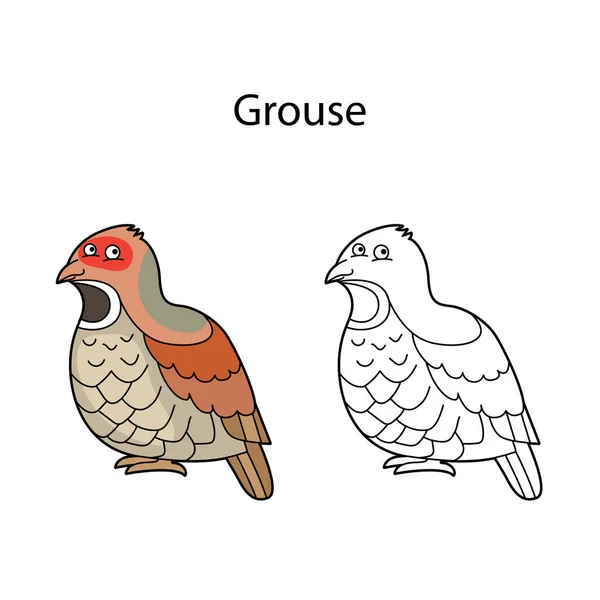 Grappige Schattige Vogel Korhoen Geïsoleerd Witte Achtergrond Lineair Contour Zwart — Stockvector