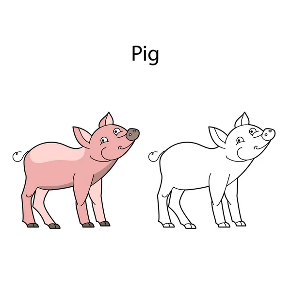 有趣的可爱的动物猪隔离在白色背景 等高线 黑白和彩色版本 图解可用于儿童书籍 设计模板和图片的着色 — 图库矢量图片