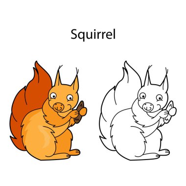 Beyaz arka planda izole edilmiş komik bir hayvan sincabı. Doğrusal, hatsız, siyah-beyaz ve renkli versiyonu. Resim, çocuklar için boyama kitabı, tasarım şablonu ve resimler için kullanılabilir