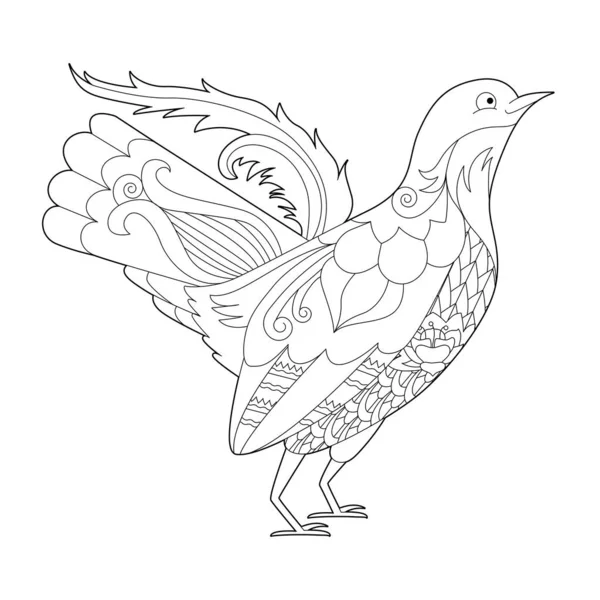 Süslü Kuş Tavuğu Siyah Beyaz Resim Cennet Kuşlarıyla Boyama Kitabı — Stok Vektör