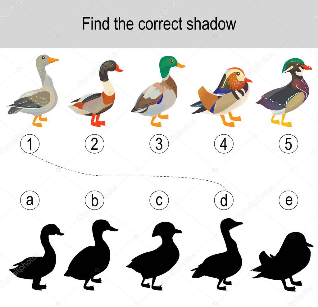 Find the correct shadow puzzle with farm birds. Illustration can be used as logic game for children.