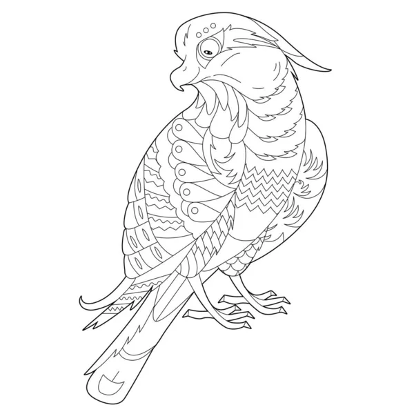 Контурная Линейная Иллюстрация Раскраски Книги Декоративным Соколом Красивая Хищная Птица — стоковый вектор