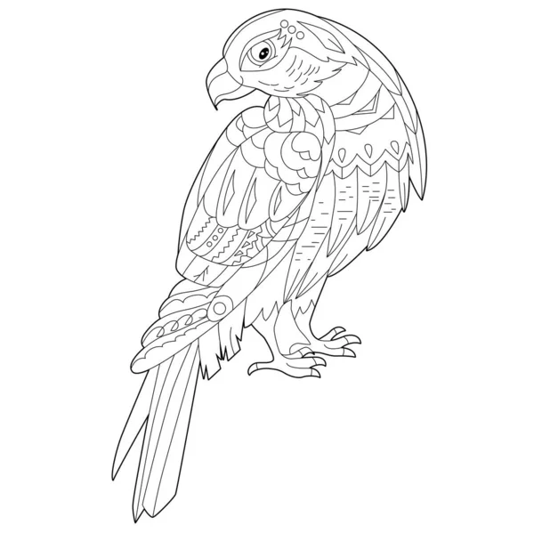Obrys Lineární Ilustrace Pro Omalovánky Dekorativním Falkonem Krásný Dravý Pták — Stockový vektor