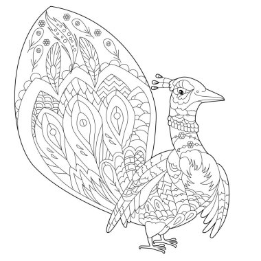 Boyama kitabı için dekoratif tavus kuşu ile doğrusal çizim yapın. Güzel bir kuş, stres karşıtı bir resim. Yetişkinler ve çocuklar için çizgi çizimi Zen-karmaşası tarzı, dövme ve boyama sayfası.