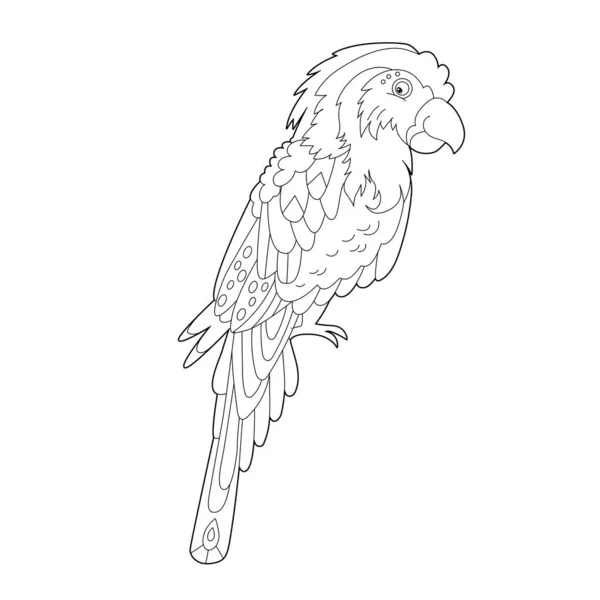 Контурна Лінійна Ілюстрація Розмальовки Книги Декоративним Папугою Прекрасний Хижий Птах — стоковий вектор