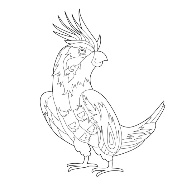 Obrys Lineární Ilustrace Pro Omalovánky Dekorativním Papouškem Krásný Tropický Pták — Stockový vektor