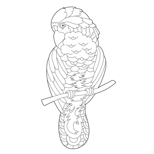 Lineare Illustration Für Malbuch Mit Dekorativem Papagei Schöne Tropische Vogel — Stockvektor