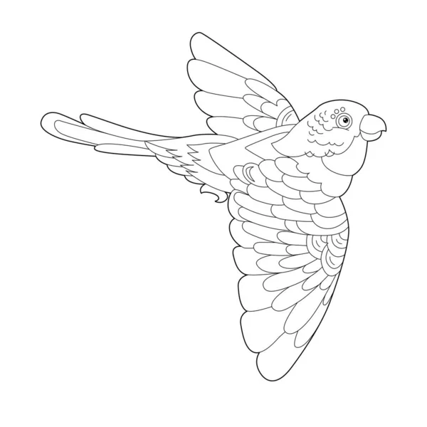 Контурна Лінійна Ілюстрація Розмальовки Книги Декоративним Папугою Красива Тропічна Пташка — стоковий вектор