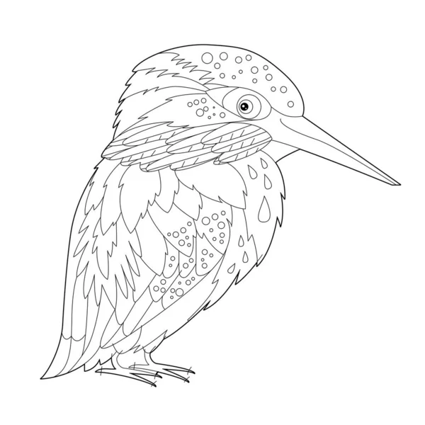 Contour Lineaire Illustratie Voor Kleurboek Met Decoratieve Mooie Ijsvogel Mooie — Stockvector