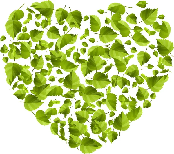 Szív zöld levelekből. Környezetvédelmi koncepció — Stock Vector