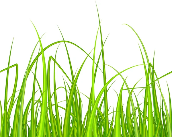 Green grass. Seamless pattern. — Stock Vector
