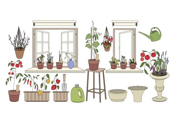 허브와 야채 화분입니다. 창 욕실 및 발코니에 성장 하는 식물 — 스톡 벡터