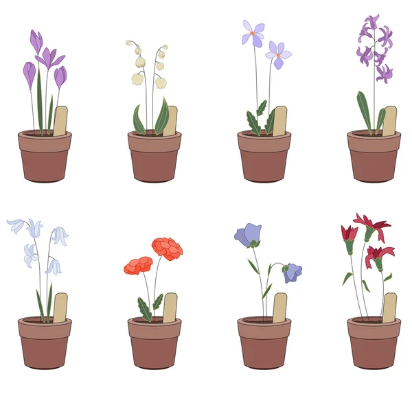 Blumentöpfe mit Blüten - Iris, Hyazinthen, Blauglocken. — Stockvektor