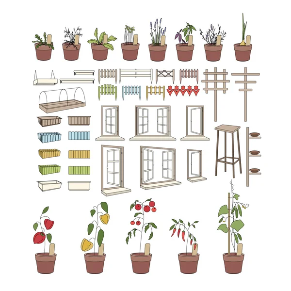 Vasos de flores com ervas e legumes. Plantas que crescem na varanda —  Vetores de Stock