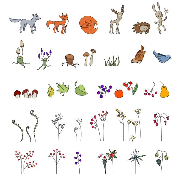 Set with cute animals. Wildlife. Forest mushrooms, flowers and leaves — 图库矢量图片