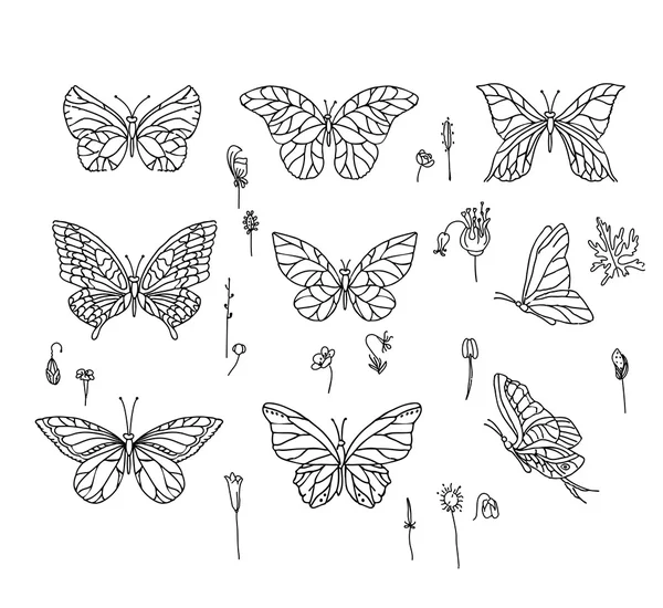 Set mit verschiedenen Schmetterlingen. Schwarz-Weiß. für Ihr Design, Ihre Ankündigungen, Postkarten, Poster. — Stockvektor