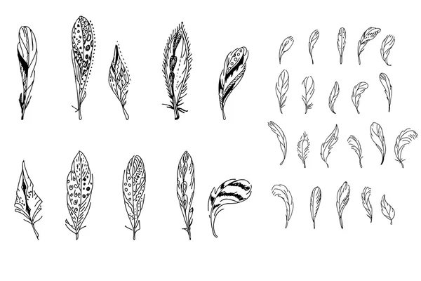 Feathers. Black and white.  For your design, announcements, postcards, posters.Black and white. — Stockový vektor