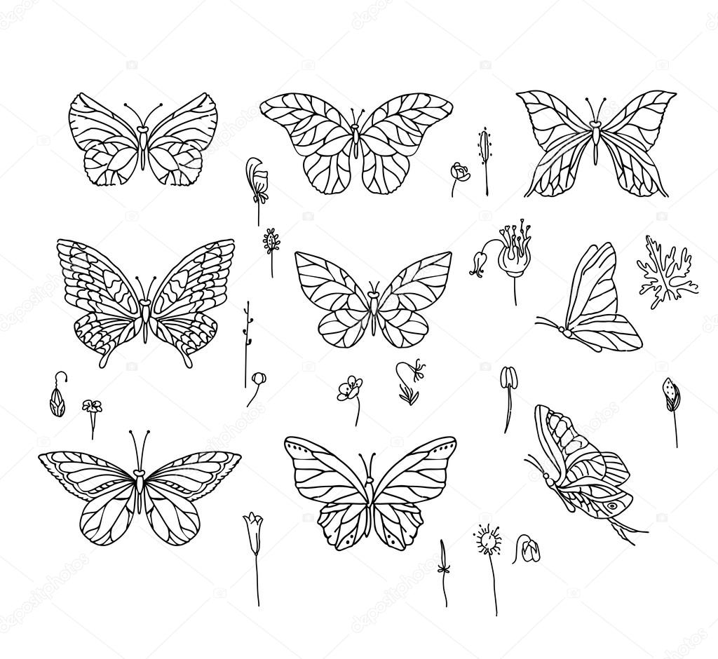 Set with different butterflies. Black and white.  For your design, announcements, postcards, posters.