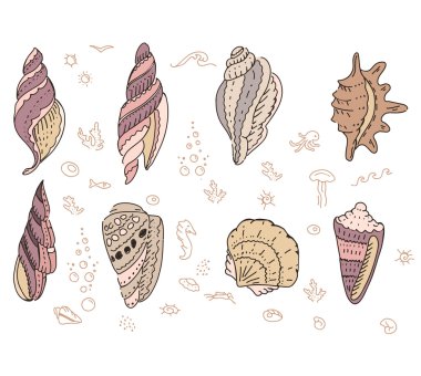 Deniz kabukları ile üzerine beyaz ayarla