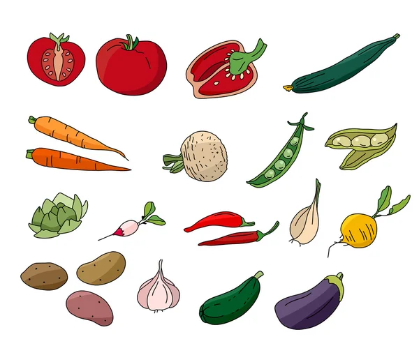 Diferentes verduras aisladas en blanco. Para su diseño, anuncios, postales, carteles . — Vector de stock