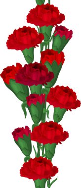 Seamless vertical border with red carnations