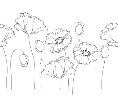 Stylized poppy isolated on white background. Object for your summer design, fabrics, greeting cards, announcements, posters.