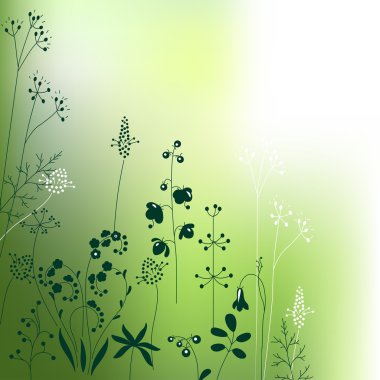 Floral abstract template with stylized herbs and plants.  Silhouette of plants. Pattern for your design, romantic greeting cards, announcements, posters.