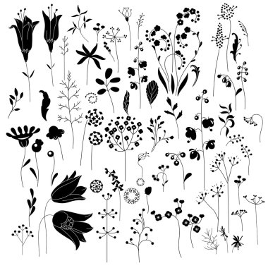 Collection of stylized herbs and plants.  Black and white silhouette. Pattern for your design, romantic greeting cards, announcements, posters.