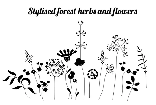 Plantilla floral con hierbas y plantas estilizadas. Silueta en blanco y negro. Patrón para su diseño, tarjetas de felicitación románticas, anuncios, carteles . — Vector de stock