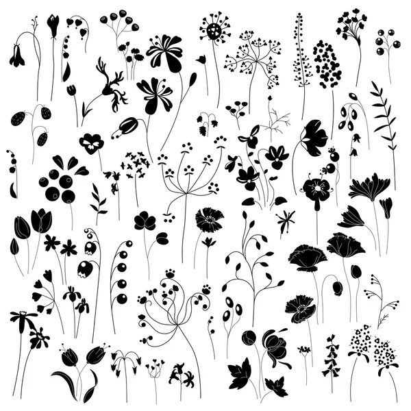 Colección de hierbas y plantas estilizadas. Silueta en blanco y negro. Patrón para su diseño, tarjetas de felicitación románticas, anuncios, carteles . — Archivo Imágenes Vectoriales