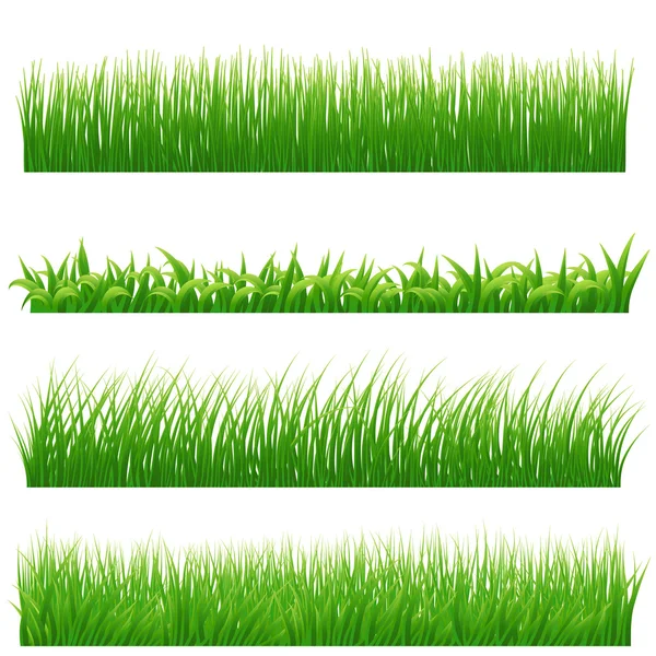 Green grass borders set on white. Vector illustration — Stock Vector