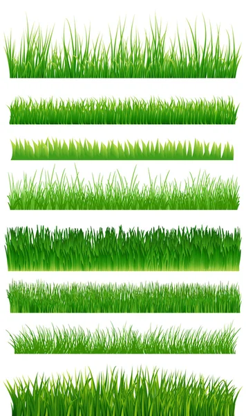 Green grass borders collection over white. Vector illustration — Stock Vector