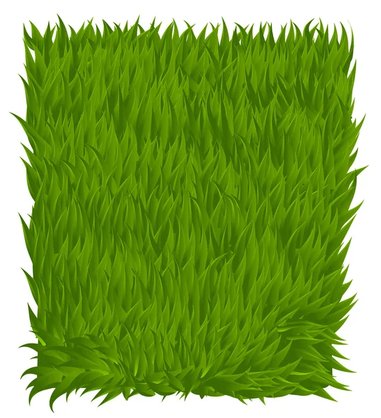 Retângulo de textura de grama verde isolado em branco — Vetor de Stock