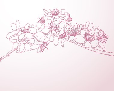 çiçek açması ağaçların sanat el resimde çekilmiş. Bahar backgro