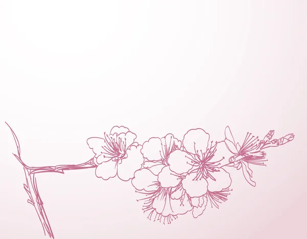 Linea di albero fioritura disegno a mano arte. primavera elegante orizzontale — Vettoriale Stock