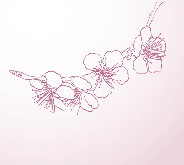 Flores de árboles florecientes línea de arte dibujo a mano. primavera elegante ba — Vector de stock