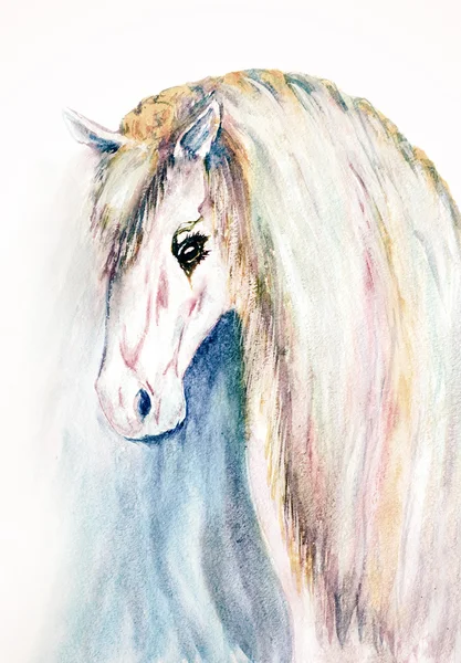 Aguarela mão desenhado cara de cavalo — Fotografia de Stock