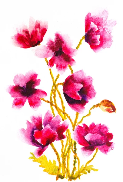 水彩粉色罂粟花抽象花卉组成 — 图库照片