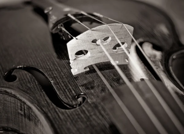 Violin bridge toned photo — Stock Photo, Image