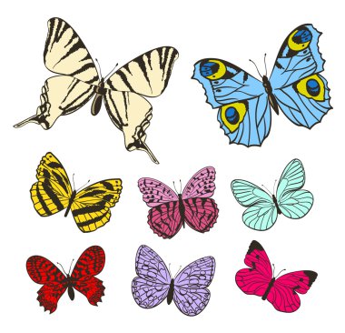 Çeşitli renkli kelebekler dizi