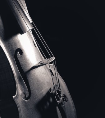 Keman closeup tek renkli fotoğrafı siyah arka plan üzerine