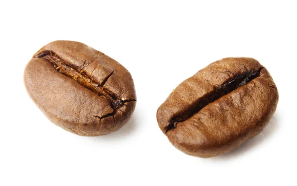 Dois grãos de café em branco — Fotografia de Stock