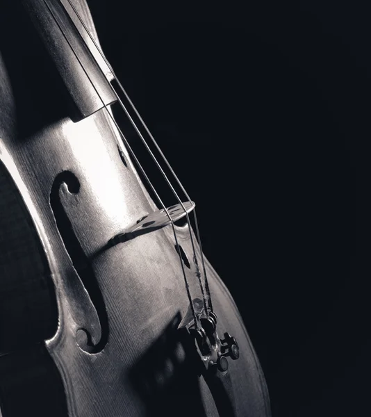 Geige Nahaufnahme monochromes Foto auf schwarzem Hintergrund — Stockfoto
