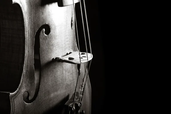Primo piano violino foto in bianco e nero su sfondo nero — Foto Stock