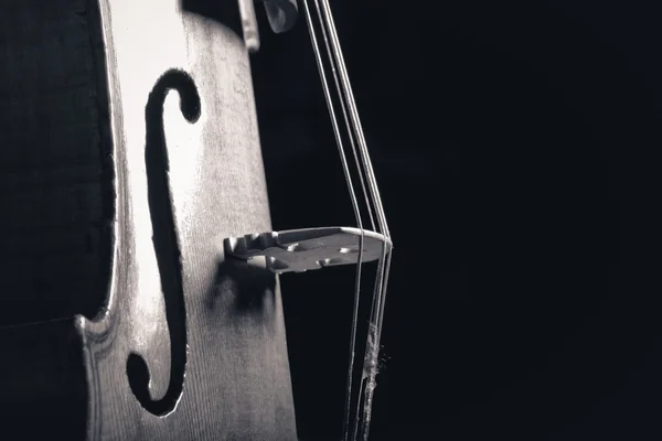 Violino close-up foto no fundo escuro — Fotografia de Stock